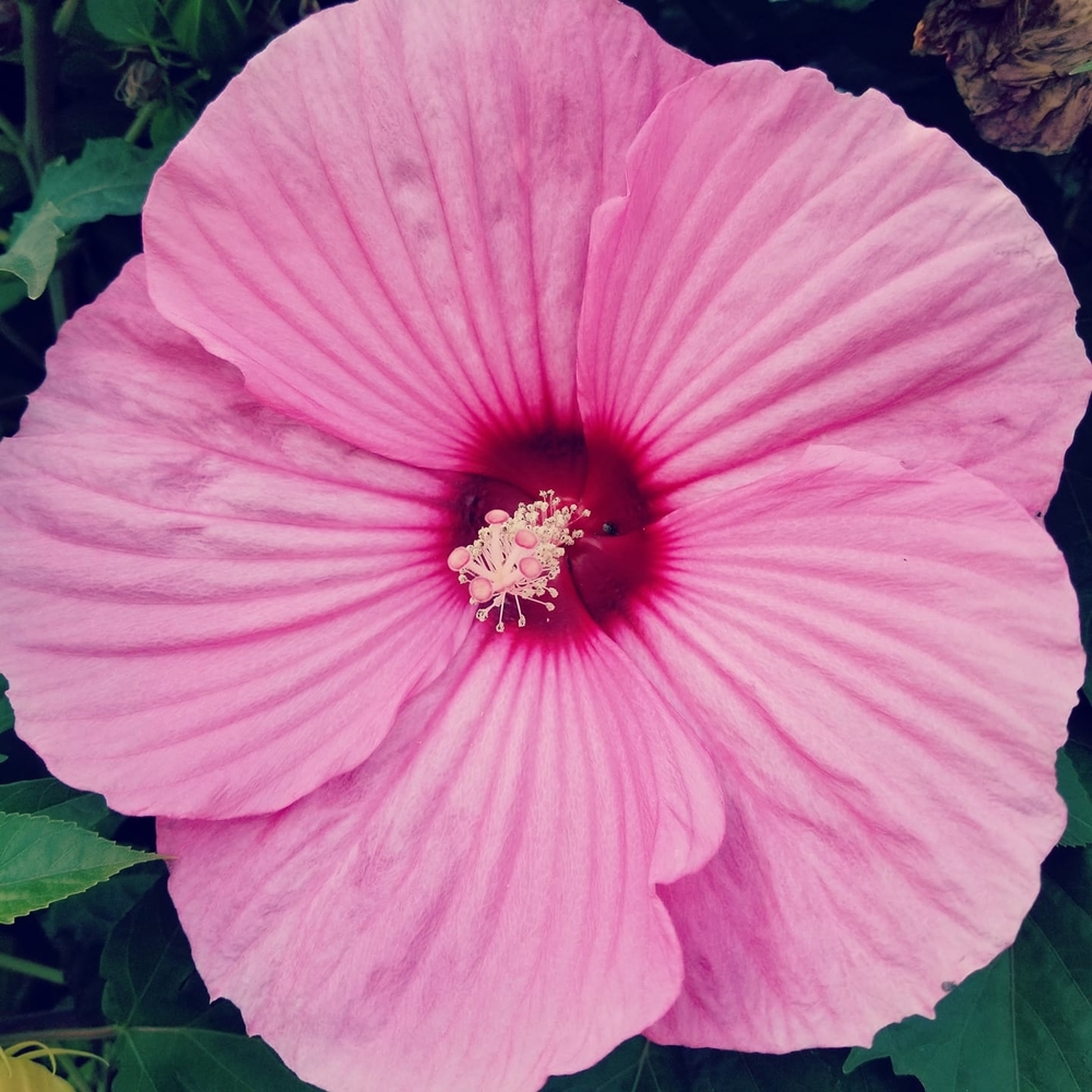 Meet your Posher, Jacquelyn